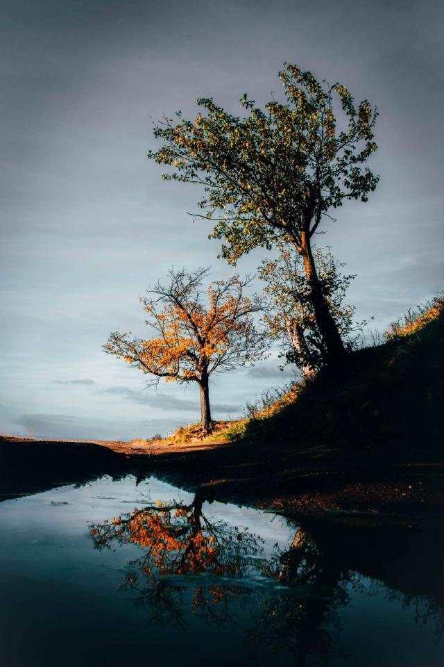 PREMIUL I - SECȚIUNEA STUDENȚI