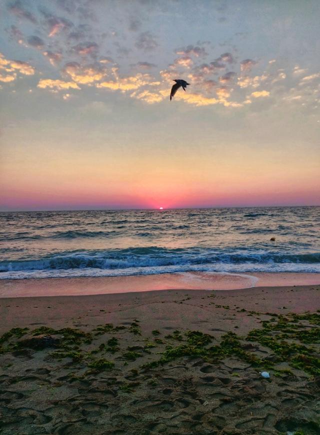 PREMIUL III - SECȚIUNEA STUDENȚI