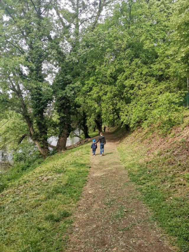 PREMIUL I - SECȚIUNEA CADRE UO