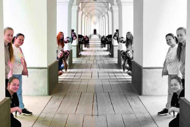 PREMIUL II - SECȚIUNEA CADRE UO